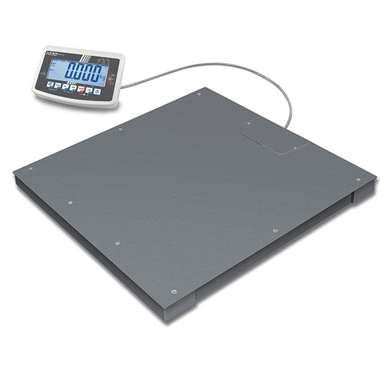Bodenwaage, Wägebereich maximal 600 kg, Ablesbarkeit 200 g — Virtus BFB600K200SM