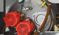 Power booster +9,5 kW für Durchlaufspüler Serie GLB0047/CN-48/CN-49/CN-50/CN — Virtus Z/CTTW